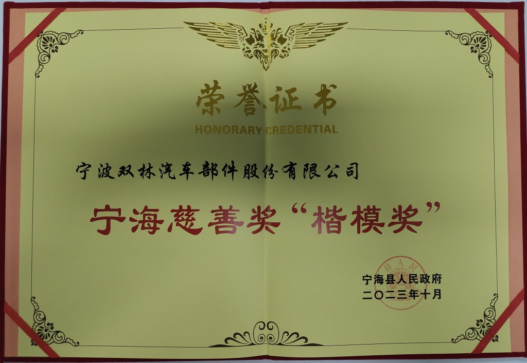 mg冰球突破荣获首批宁海慈悲奖“表率奖”